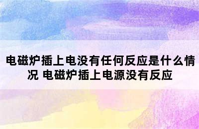 电磁炉插上电没有任何反应是什么情况 电磁炉插上电源没有反应